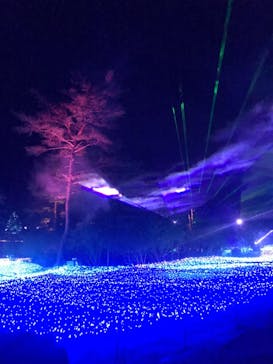 KYOTO ILLUMINATION SYNESTHESIA HILLS るり渓温泉に投稿された画像（2020/12/23）