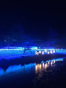 KYOTO ILLUMINATION SYNESTHESIA HILLS るり渓温泉に投稿された画像（2020/12/23）