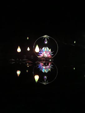 KYOTO ILLUMINATION SYNESTHESIA HILLS るり渓温泉に投稿された画像（2020/12/23）