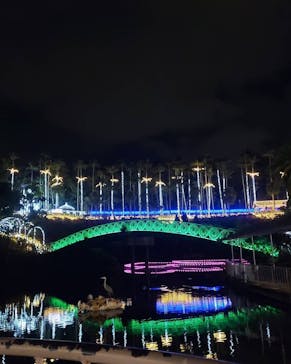 美らヤシパークオキナワ・東南植物楽園に投稿された画像（2020/12/24）