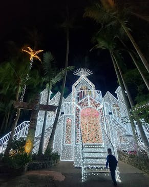 美らヤシパークオキナワ・東南植物楽園に投稿された画像（2020/12/24）