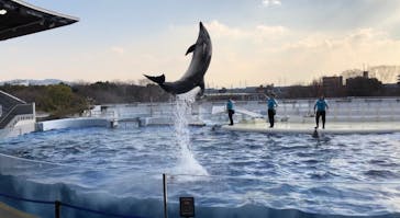 京都水族館に投稿された画像（2020/12/24）