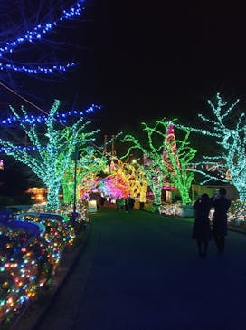 よみうりランド 遊園地に投稿された画像（2020/12/24）