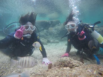 武藤潜水に投稿された画像（2020/12/24）