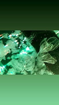 マクセル アクアパーク品川に投稿された画像（2020/12/24）