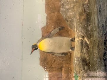 マクセル アクアパーク品川に投稿された画像（2020/12/24）