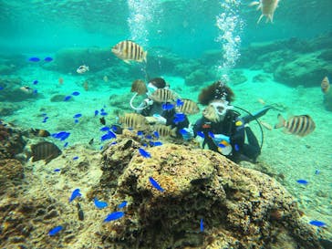 青の洞窟専門店　沖縄ダイビングショップ和に投稿された画像（2020/12/24）