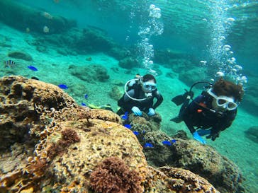 青の洞窟専門店　沖縄ダイビングショップ和に投稿された画像（2020/12/24）