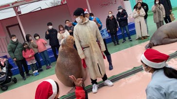 ゼロ距離水族館 伊勢シーパラダイスに投稿された画像（2020/12/24）