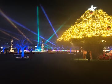 東京メガイルミに投稿された画像（2020/12/24）