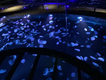 すみだ水族館に投稿された画像（2020/12/24）