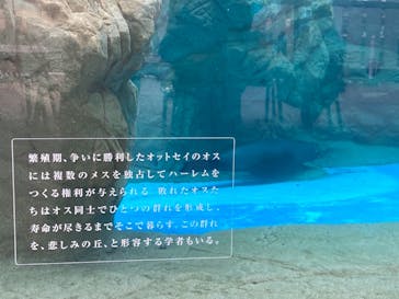 京都水族館に投稿された画像（2020/12/24）