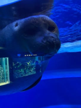 サンシャイン水族館に投稿された画像（2020/12/24）