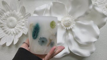 ずこうしつ〜sugamo〜に投稿された画像（2020/12/24）