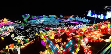 伊豆ぐらんぱる公園に投稿された画像（2020/12/24）