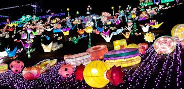 伊豆ぐらんぱる公園に投稿された画像（2020/12/24）