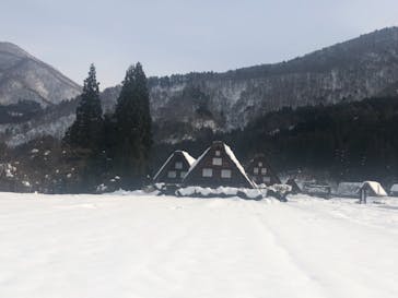 ホワイトリングに投稿された画像（2020/12/24）