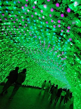 なばなの里に投稿された画像（2020/12/24）