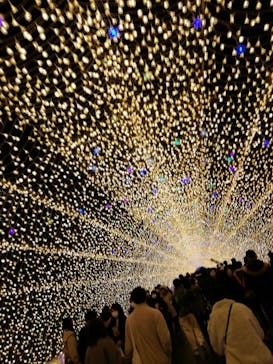 なばなの里に投稿された画像（2020/12/24）