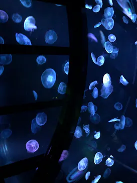 すみだ水族館に投稿された画像（2020/12/24）