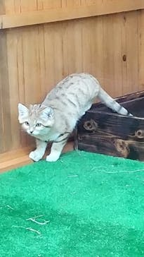 神戸どうぶつ王国に投稿された画像（2020/12/24）