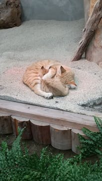 神戸どうぶつ王国に投稿された画像（2020/12/24）