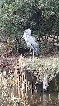 神戸どうぶつ王国に投稿された画像（2020/12/24）