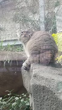 神戸どうぶつ王国に投稿された画像（2020/12/24）