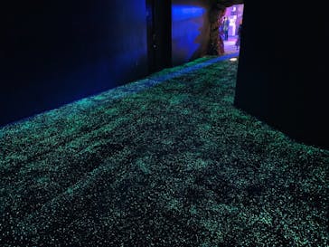 横浜・八景島シーパラダイスに投稿された画像（2020/12/24）