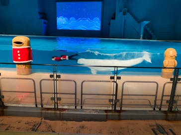 横浜・八景島シーパラダイスに投稿された画像（2020/12/24）