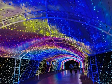 横浜・八景島シーパラダイスに投稿された画像（2020/12/24）