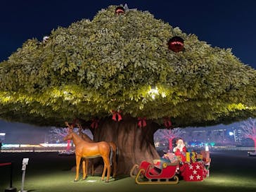 東京メガイルミに投稿された画像（2020/12/24）