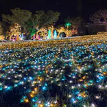 美らヤシパークオキナワ・東南植物楽園に投稿された画像（2020/12/24）