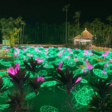 美らヤシパークオキナワ・東南植物楽園に投稿された画像（2020/12/24）