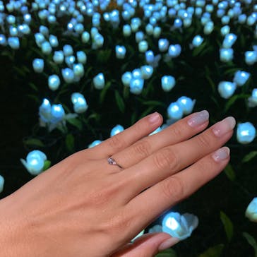 美らヤシパークオキナワ・東南植物楽園に投稿された画像（2020/12/24）