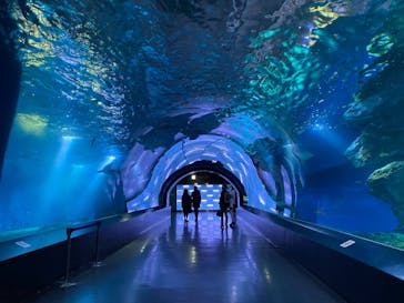 マクセル アクアパーク品川に投稿された画像（2020/12/24）