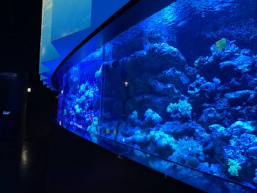 マクセル アクアパーク品川に投稿された画像（2020/12/24）