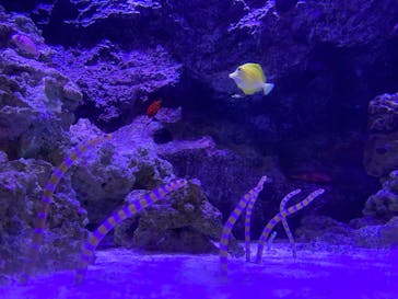 マクセル アクアパーク品川に投稿された画像（2020/12/24）