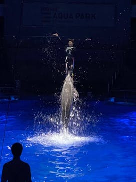 マクセル アクアパーク品川に投稿された画像（2020/12/24）