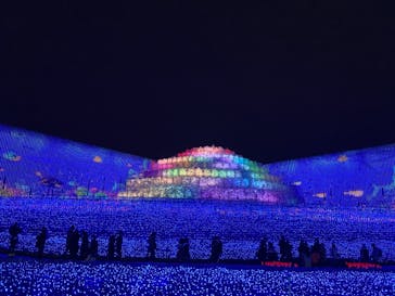 なばなの里に投稿された画像（2020/12/24）