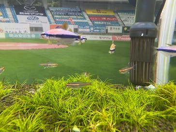 九十九島水族館海きららに投稿された画像（2020/12/24）