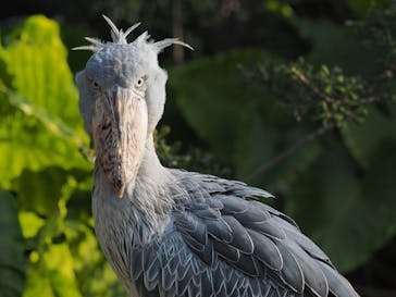 神戸どうぶつ王国に投稿された画像（2020/12/24）