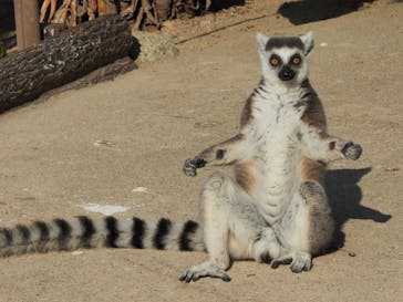 神戸どうぶつ王国に投稿された画像（2020/12/24）