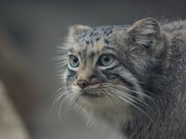 神戸どうぶつ王国に投稿された画像（2020/12/24）