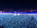 東武動物公園に投稿された画像（2020/12/25）