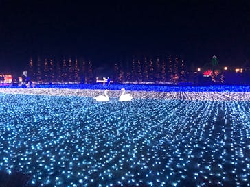 東武動物公園に投稿された画像（2020/12/24）