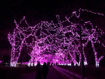 東武動物公園に投稿された画像（2020/12/24）