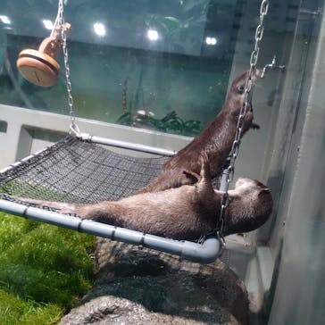 サンシャイン水族館に投稿された画像（2020/12/24）