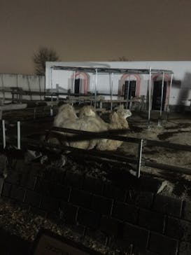 東武動物公園に投稿された画像（2020/12/24）