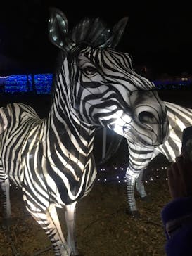 東武動物公園に投稿された画像（2020/12/24）